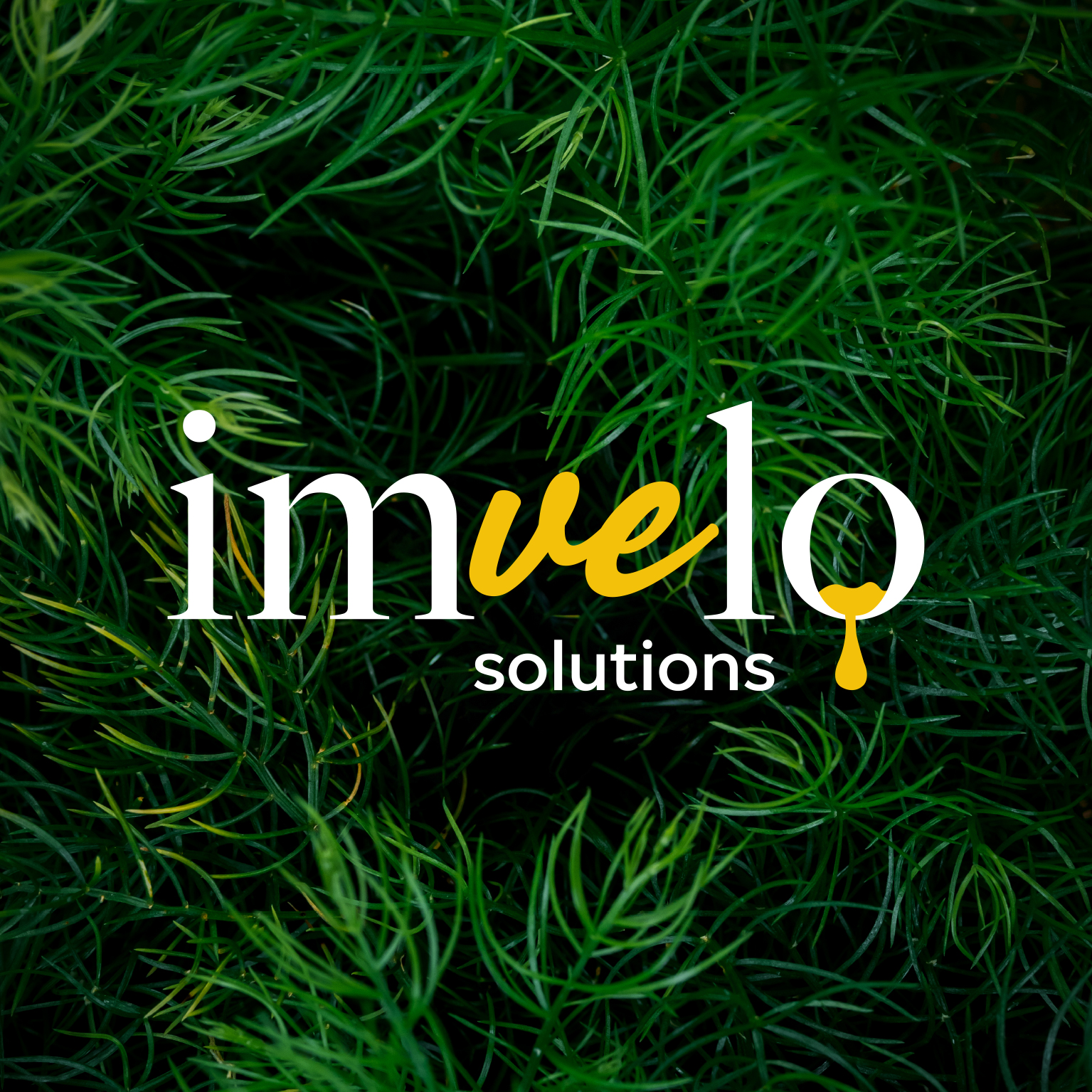 Imvelo Solutions